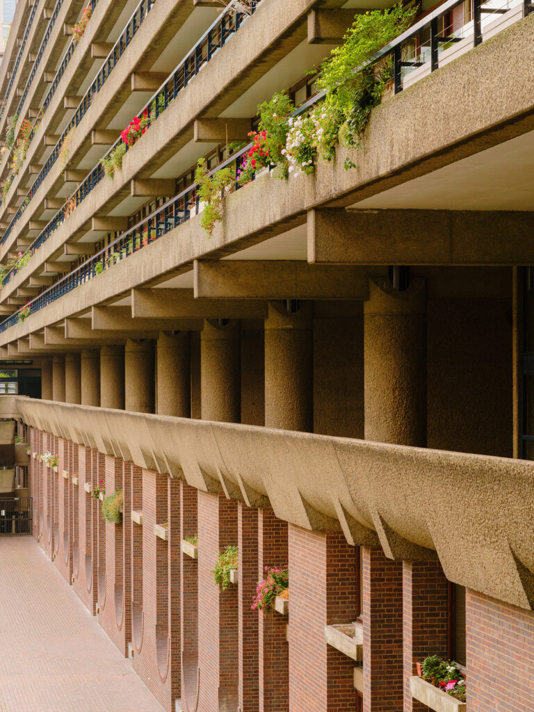 Gallery Title Here